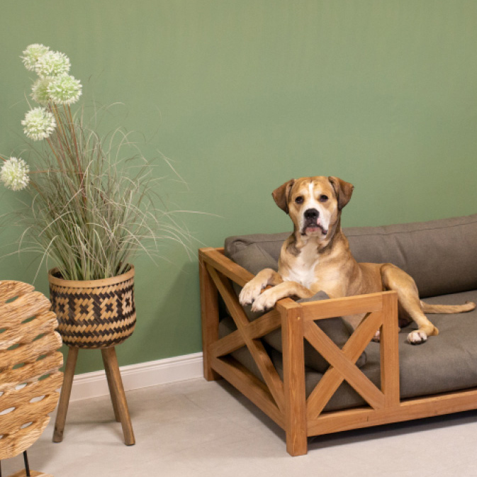 Listing-Stoerer_323x411px6