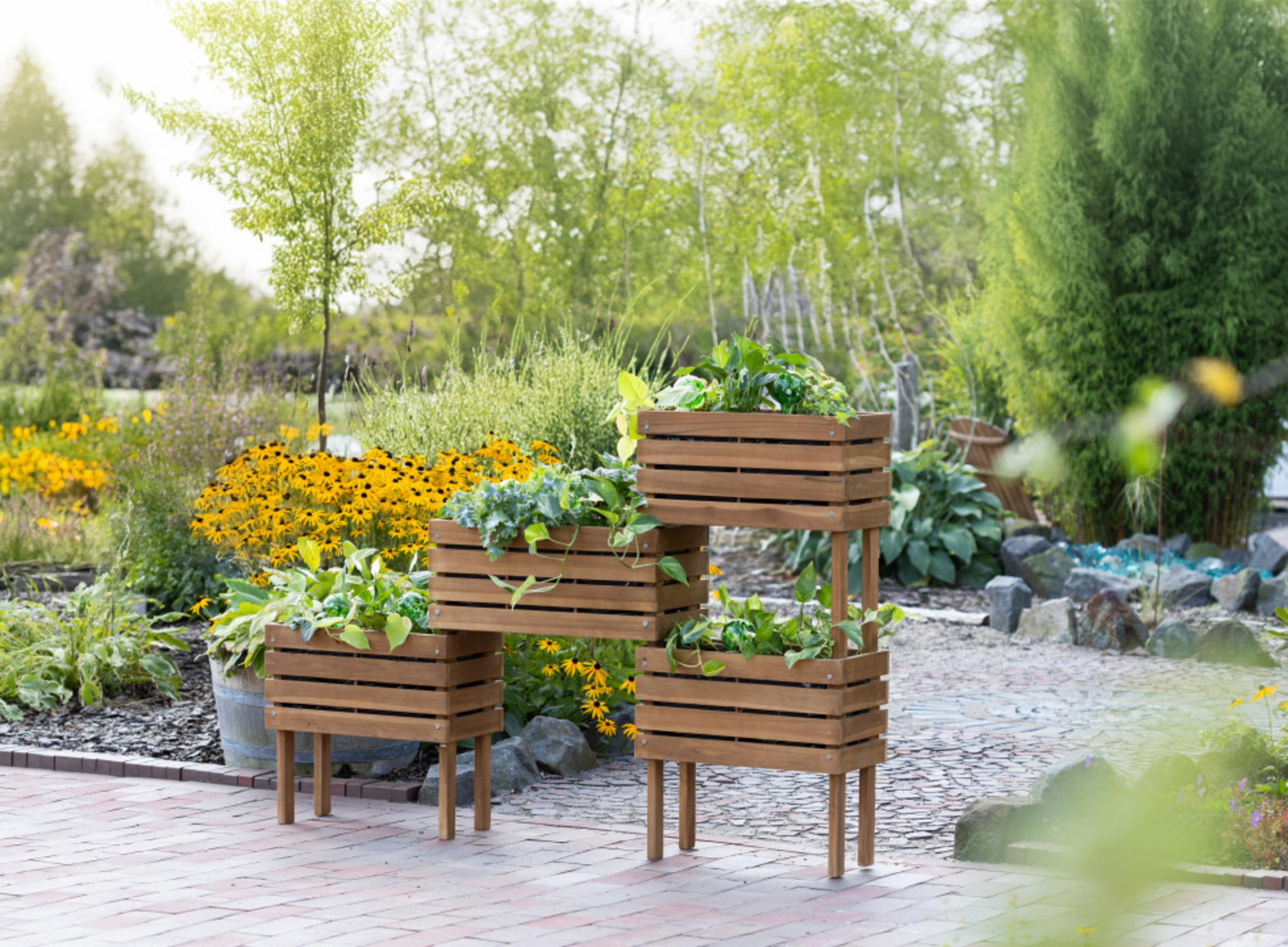 BL26008_Hochbeet_Dundee_Teak